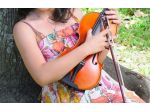 Violinista a Ferrara e Valli di Comacchio