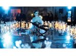 ballerina intrattenimento Dinner show