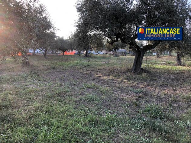 Agricolo in vendita a Città Sant'Angelo - Foto 4