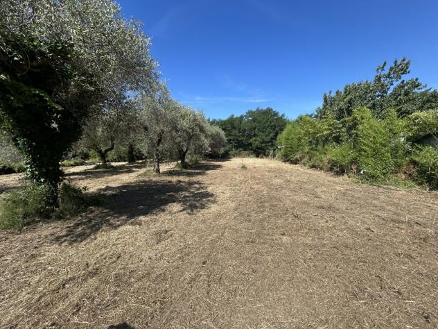 Terreno edif. residenziale in vendita a Luni 120 mq Rif: 1427755 - Foto 2