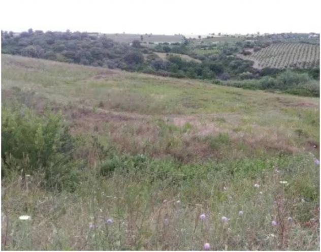 Immobile in asta di 216336 m² in vendita a Nova Siri - Foto 5
