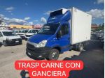 IVECO DAILY 35C21 E5  FRIGO TRASP CARNE rif. 24115631