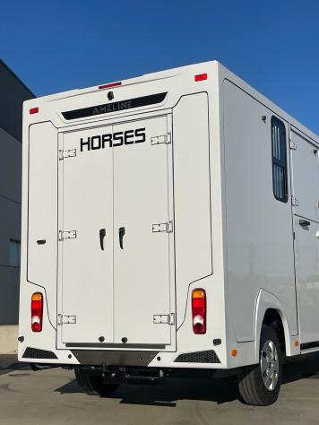 Renault Master Master 2.0 TD 170 CV HARAS ALLESTIMENTO STALLONI 3 POSTI CABINA - Foto 3