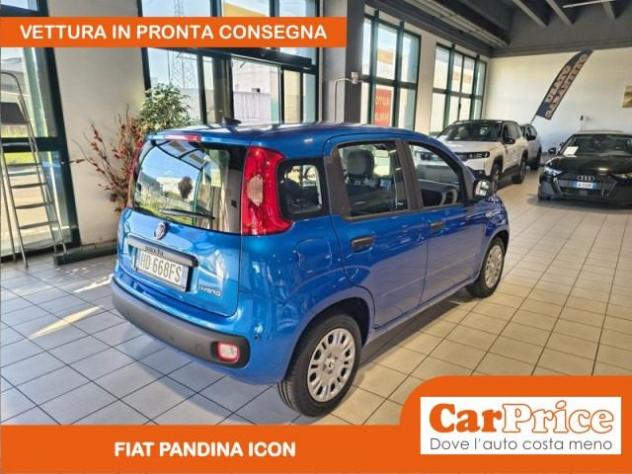 FIAT Pandina 1.0 FireFly 65CV Hybrid Icon rif. 24094103 - Foto 5
