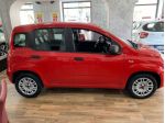 Fiat Panda 1.2 Easy- OK NEOPATENTATI