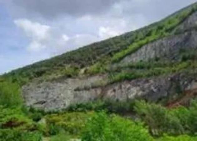 Immobile in asta di 135918 m² in vendita a Fossombrone - Foto 5