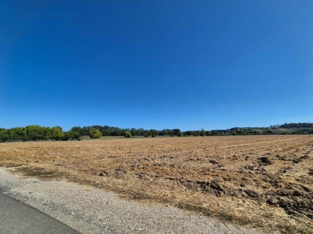 Terreno agricolo in vendita a Fucecchio 1500 mq Rif: 1339884 - Foto 2