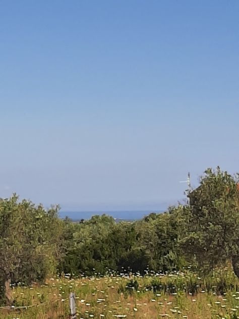 OLIVETO PAINEGGIANTE E VISTA MARE - Foto 7