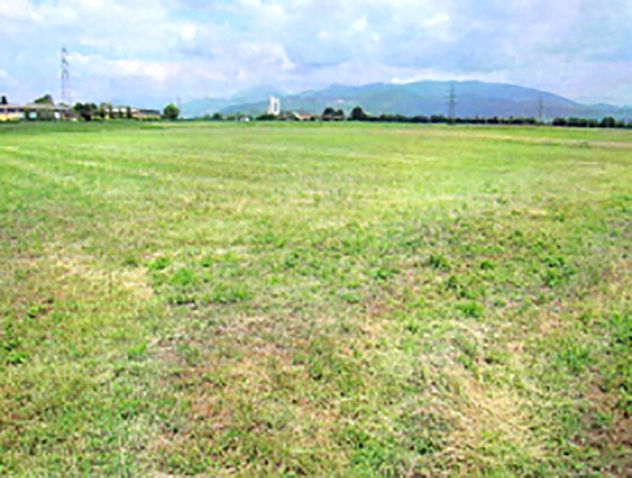 VERDERIO: TERRENO agricolo - Foto 6