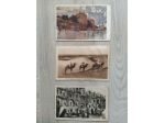 A24- CARTOLINE -