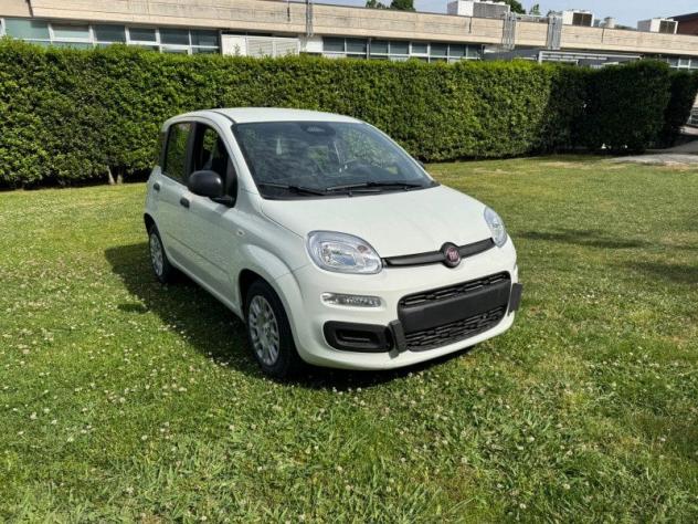 FIAT Pandina 1.0 FireFly 65cv S&S 6m Hybrid Icon