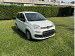 FIAT Pandina 1.0 FireFly 65cv S&S 6m Hybrid Icon