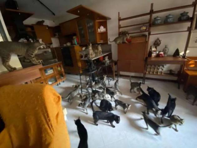 Immobile in asta di 148 m², box auto in vendita a Cerveteri - Foto 8