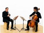 Violoncellista a Rovigo