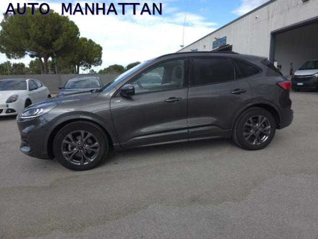 FORD Kuga 2.0 EcoBlue 120 CV aut. 2WD ST-Line rif. 24108117