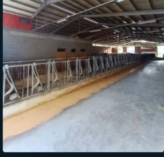Immobile in asta di 1005 m² in vendita a Palanzano - Foto 5