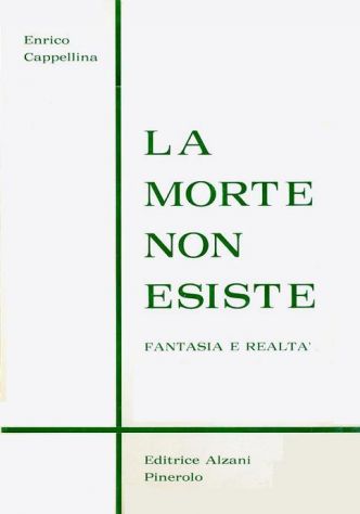 Enrico Cappellina Opere - Foto 3