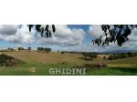 AZIENDA AGRICOLA di 1 vani e di 1 mq (SCANSANO) rif. 1911.155M