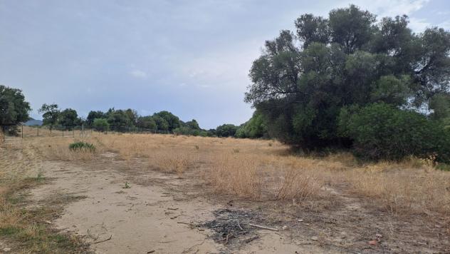 Agricolo in vendita a Quartucciu - Foto 14