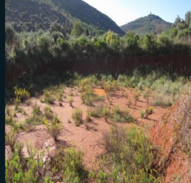 Immobile in asta di 3964 m² in vendita a Monte Argentario - Foto 4