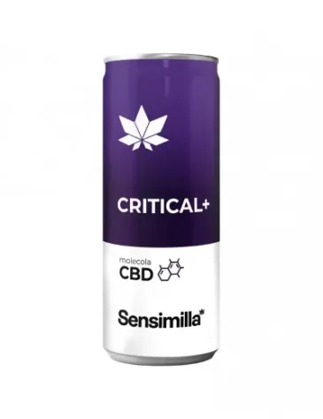 Critical+ - Foto 2