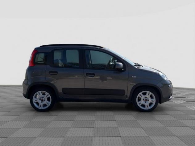 FIAT Panda Panda 1.0 FireFly Hybrid City Life rif. 23696489 - Foto 6