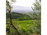Agriturismo Fattoria Barberinuzzo