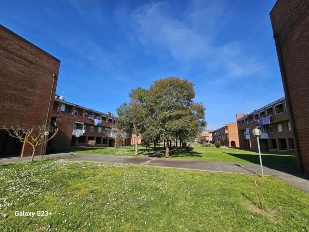 Appartamento in affitto a Vicarello - Collesalvetti 70 mq Rif: 1445149 - Foto 10