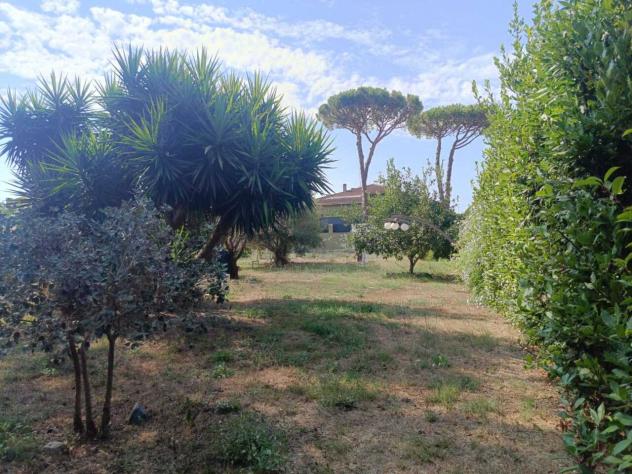 Seminativo in vendita a Cerveteri - Foto 8