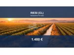 Immobile in asta di 20160 m² in vendita a Riesi