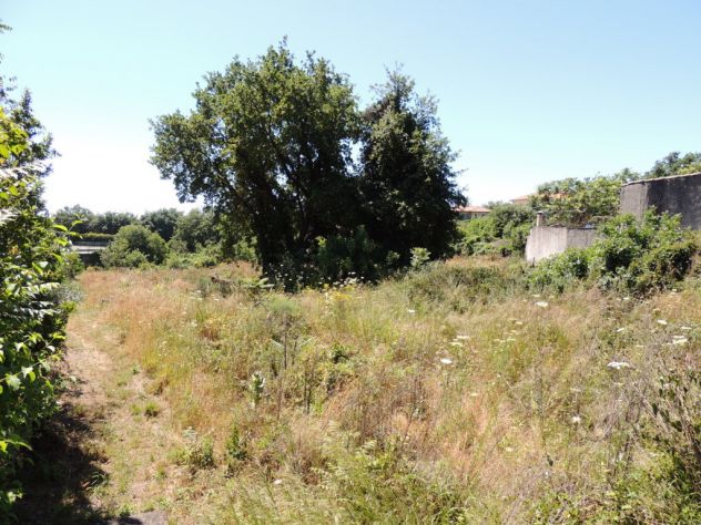 terreno agricolo in affitto a Tremestieri Etneo in Via Annunziata - Foto 2