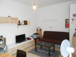 Trilocale in affitto a Pavia