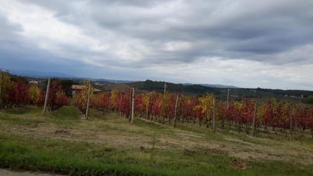 Terreno agricolo in vendita a Castelnuovo Berardenga 158000 mq Rif: 870449 - Foto 2
