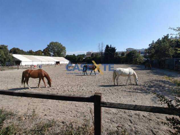 ?? MANEGGIO E CENTRO EQUESTRE – CIRCA 11.000 MQ - Foto 2