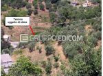 Terreno di 1600 mq  in vendita a San Pietro in Guarano - Rif. 4543531