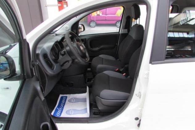FIAT Panda 1.0 FireFly 70cv S&S Hybrid Easy rif. 23795594 - Foto 6