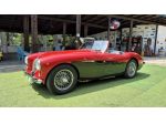 Austin-Healey 100 BN1  1954