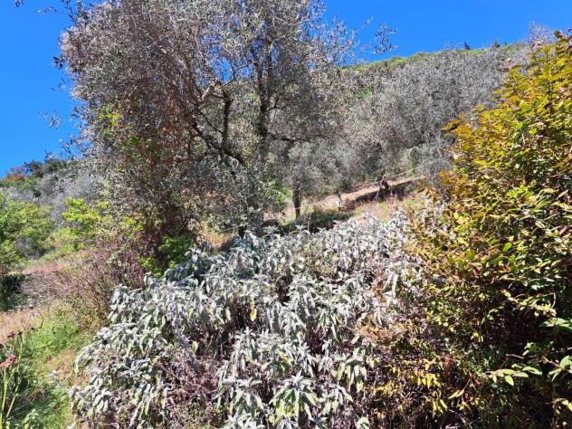 Casa singola in vendita a Mirteto - Massa 135 mq Rif: 1177447 - Foto 7