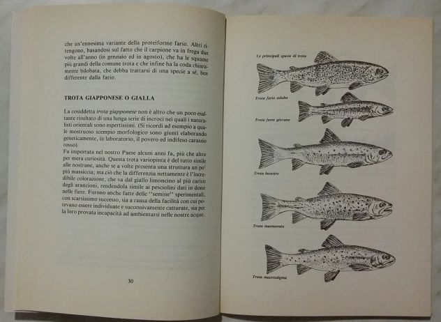 L’abc della pesca - La pesca della Trota Francesco Duse Ed.De vecchi 1985 nuovo - Foto 4