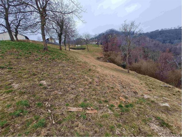 2239/2025 4 BG - Fabbricato rurale con stalla e fienile + terreni agricoli e boschivi - Foto 7