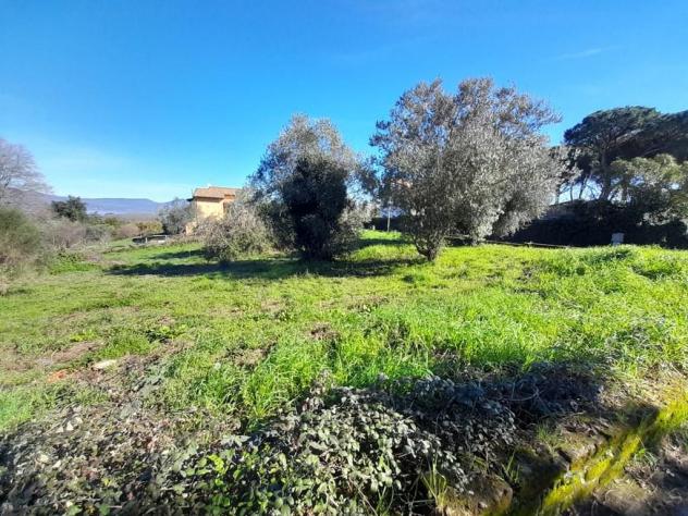 Terreno Edificabile - Rif. 2365 - Foto 14