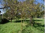 Terreno di 1800 m² in vendita a Porto Valtravaglia