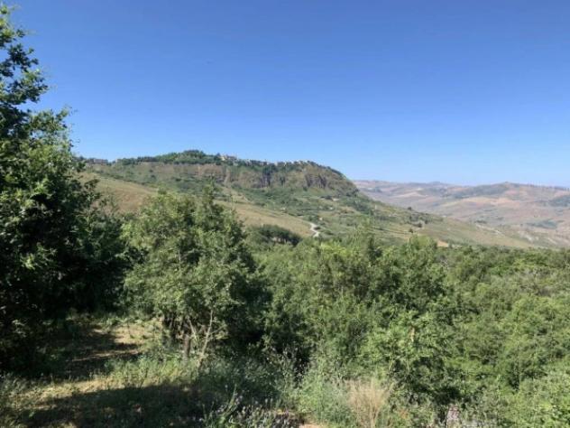 Immobile in asta di 81 m² in vendita a Polizzi Generosa - Foto 7