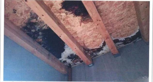 Immobile in asta di 164 m², box auto in vendita a Anzio - Foto 11
