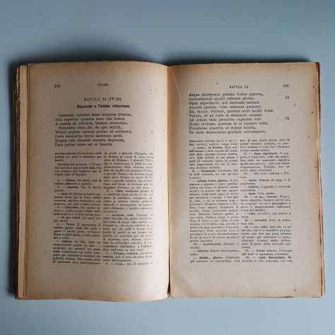 Eneide - Libro terzo - Virgilio - La Nuova Italia editrice - 1940 - Foto 3