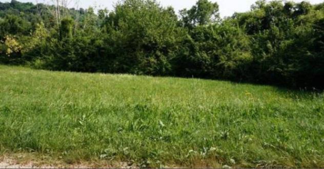 Immobile in asta di 40247 m² in vendita a Sovizzo - Foto 19