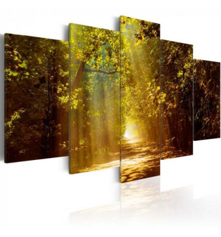 Quadro Col Tunnel Nel Bosco Cm.100x50 E 200x100 - ARREDALACASA