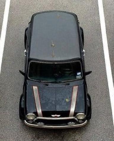 ROVER Mini 1.3 cat 35° Anniversario rif. 17484384