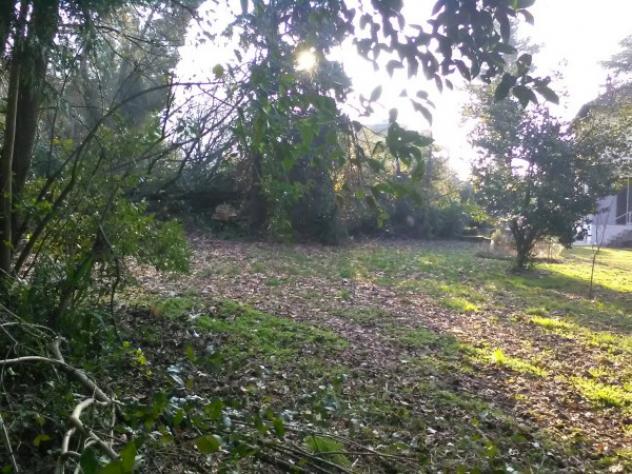 Terreno di 1800 m² in vendita a Porto Valtravaglia - Foto 2