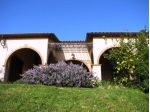 Villa in vendita a Manciano 250 mq  Rif: 563470